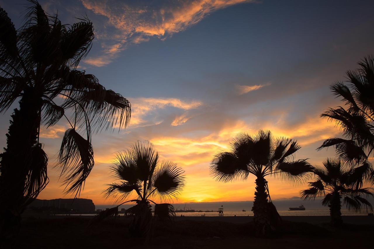 Novotel Arica Exteriér fotografie